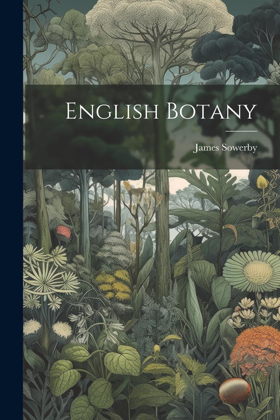 Vorderes Coverbild English Botany