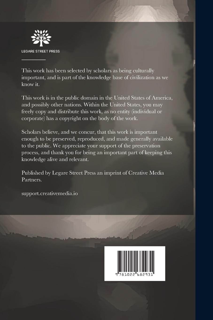 Rückseitencover Breaking Down Chinese Walls, From a Doctor's Viewpoint