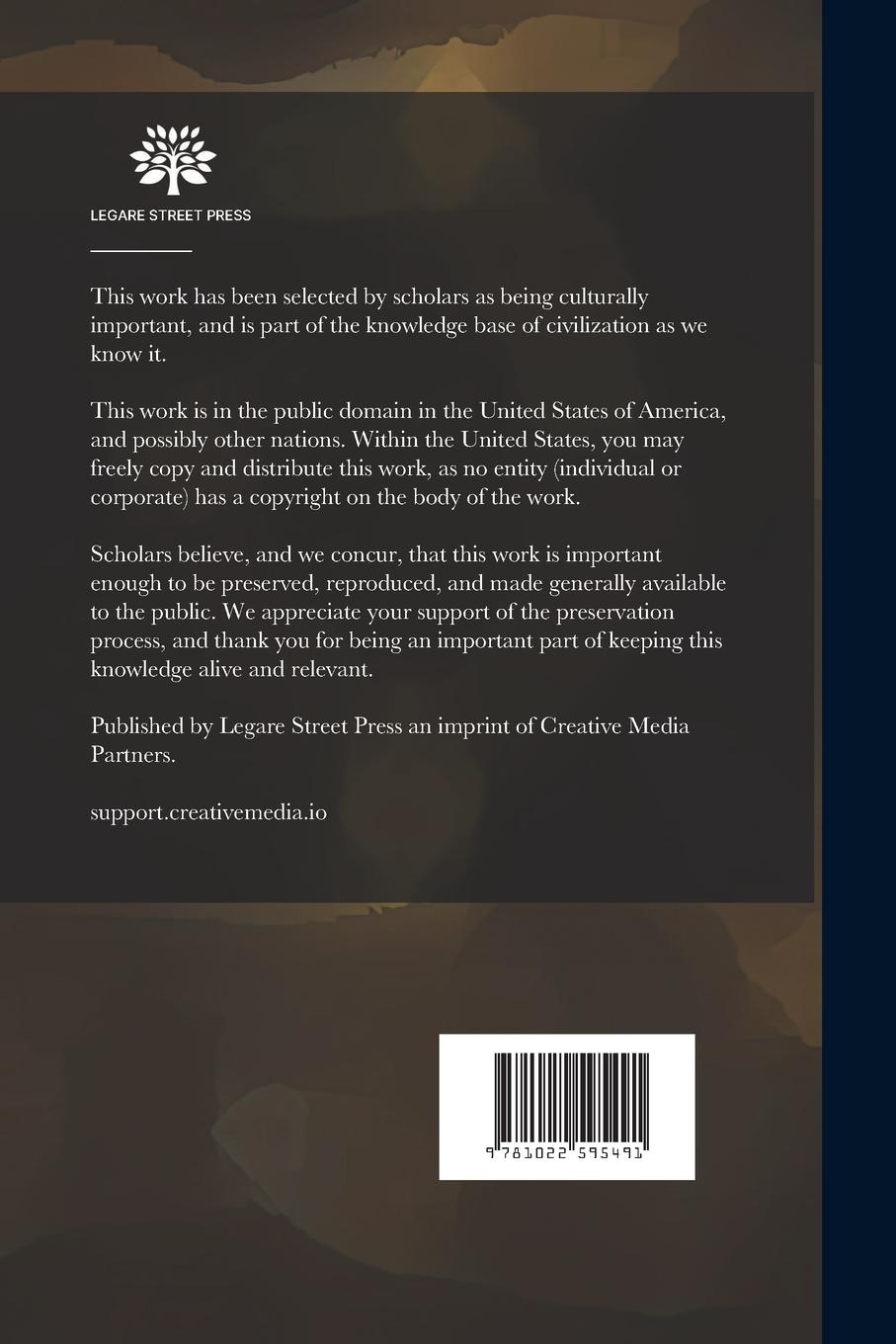 Rückseitencover American Silver