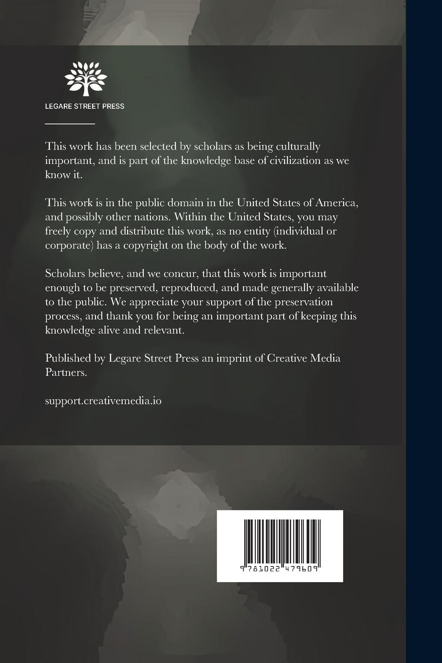 Rückseitencover Travels From India to England