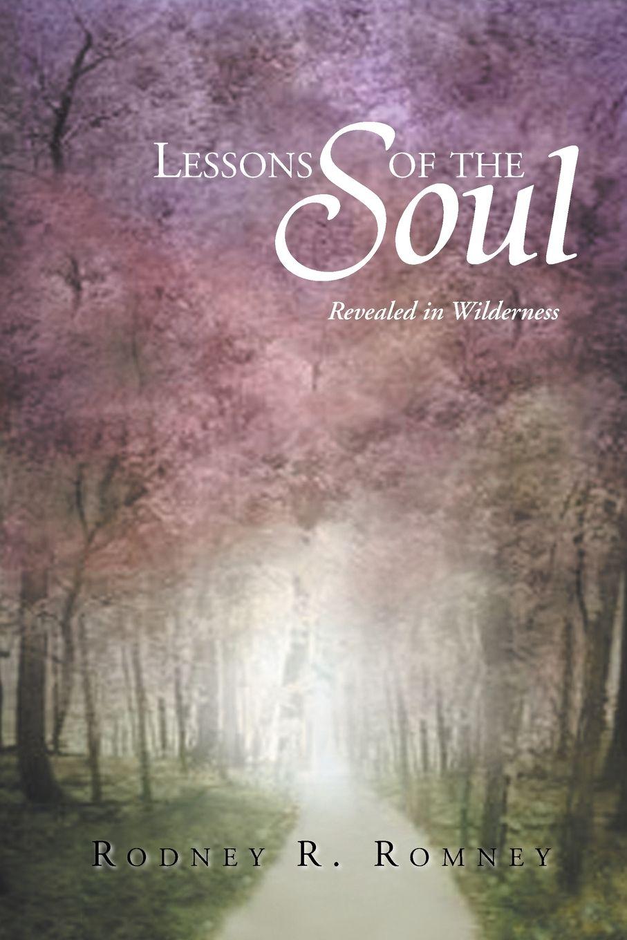 Vorderes Coverbild Lessons of the Soul