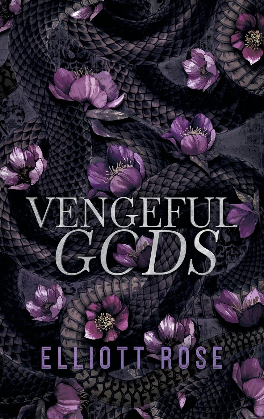Vorderes Coverbild Vengeful Gods
