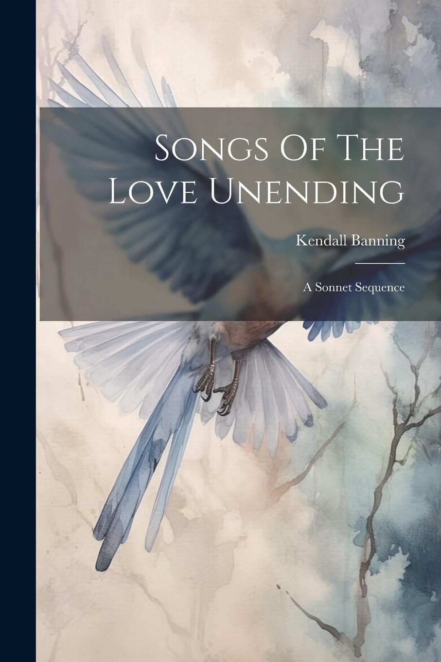 Vorderes Coverbild Songs Of The Love Unending