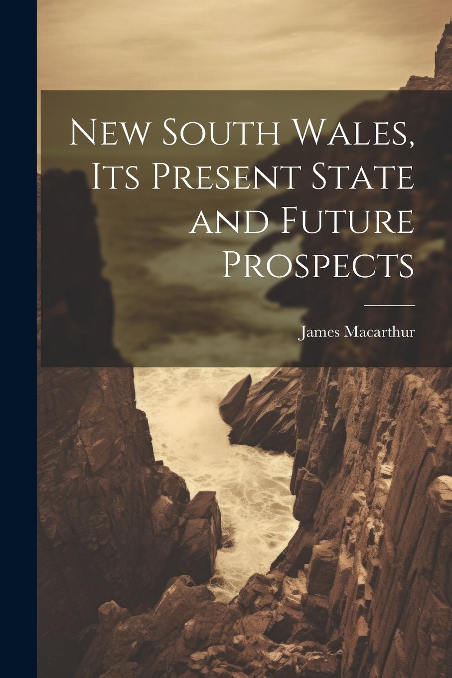 Vorderes Coverbild New South Wales, Its Present State and Future Prospects