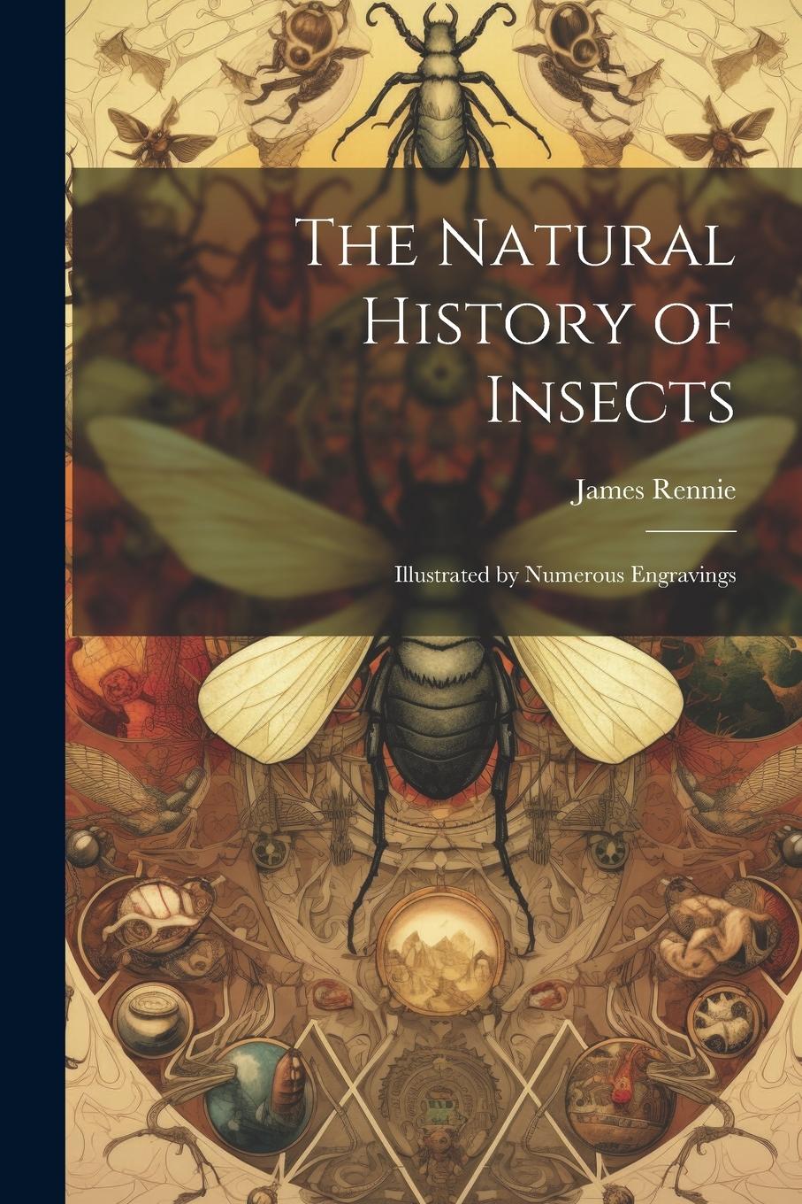 Vorderes Coverbild The Natural History of Insects: Illustrated by Numerous Engravings