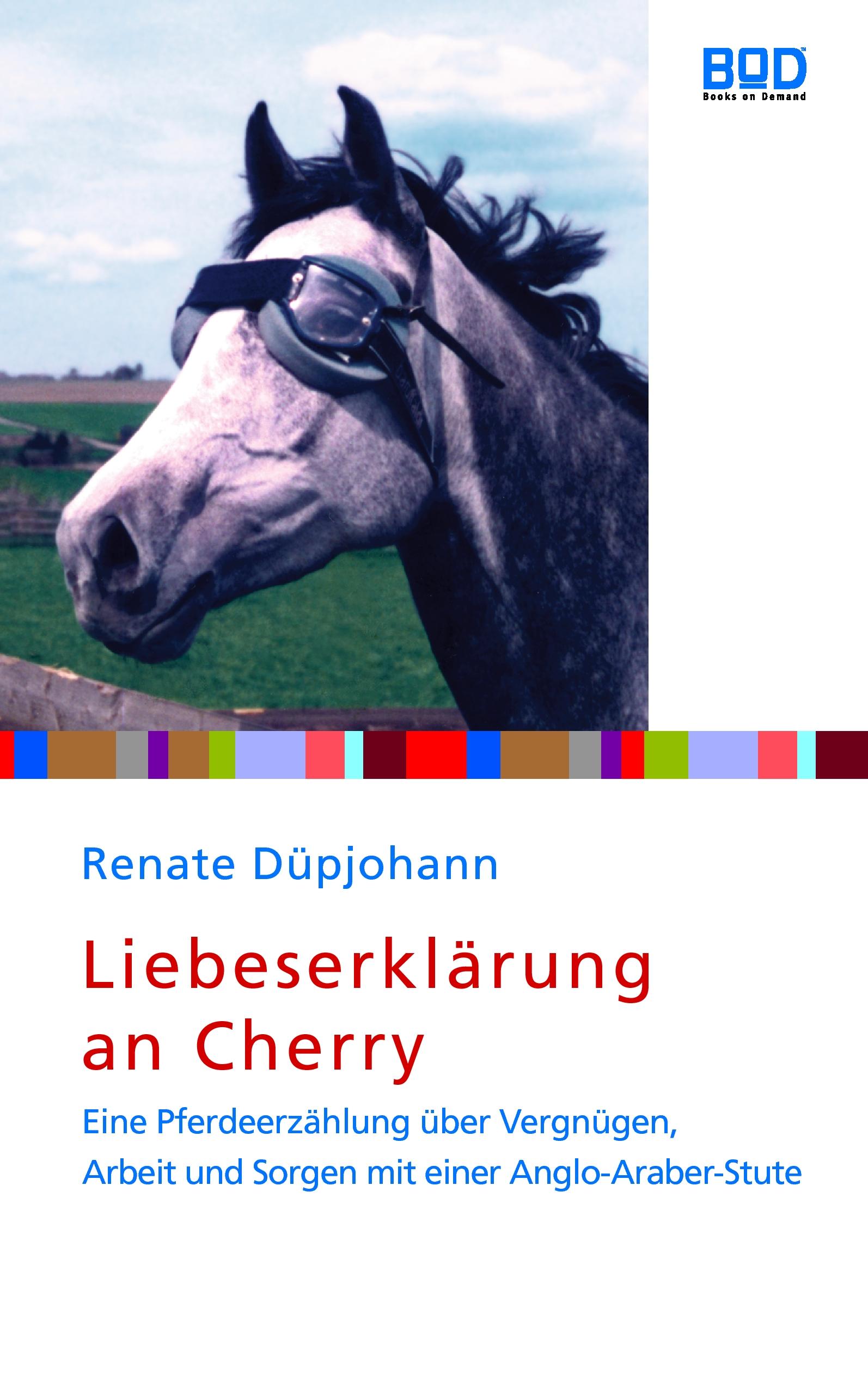 Vorderes Coverbild Liebeserklärung an Cherry