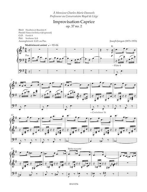 Beispielinhalt (Bild) Sämtliche Orgel- und Harmoniumwerke, Band 2