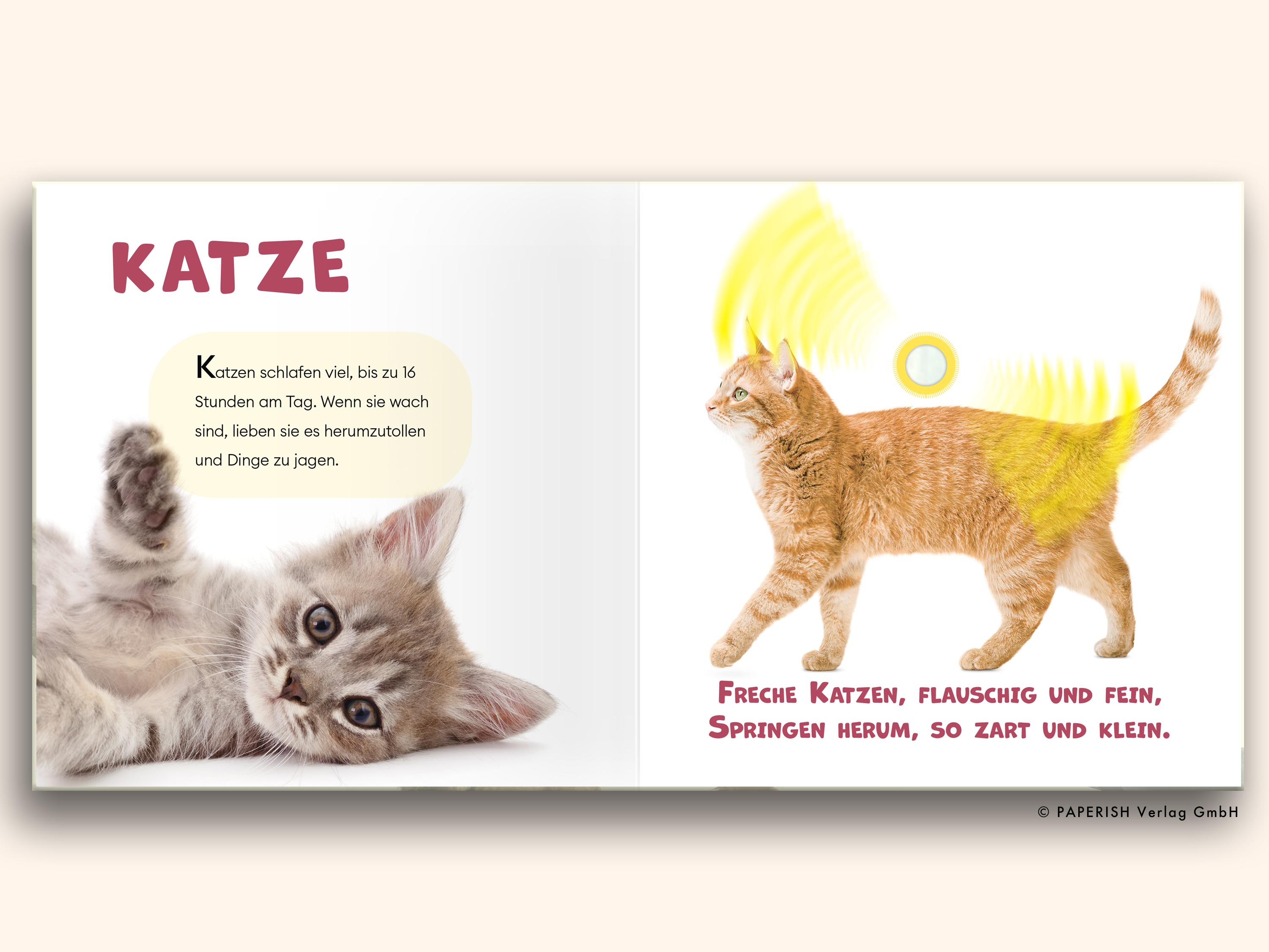 Beispielinhalt (Bild) Mach mal PIEPZ® - Haustiere