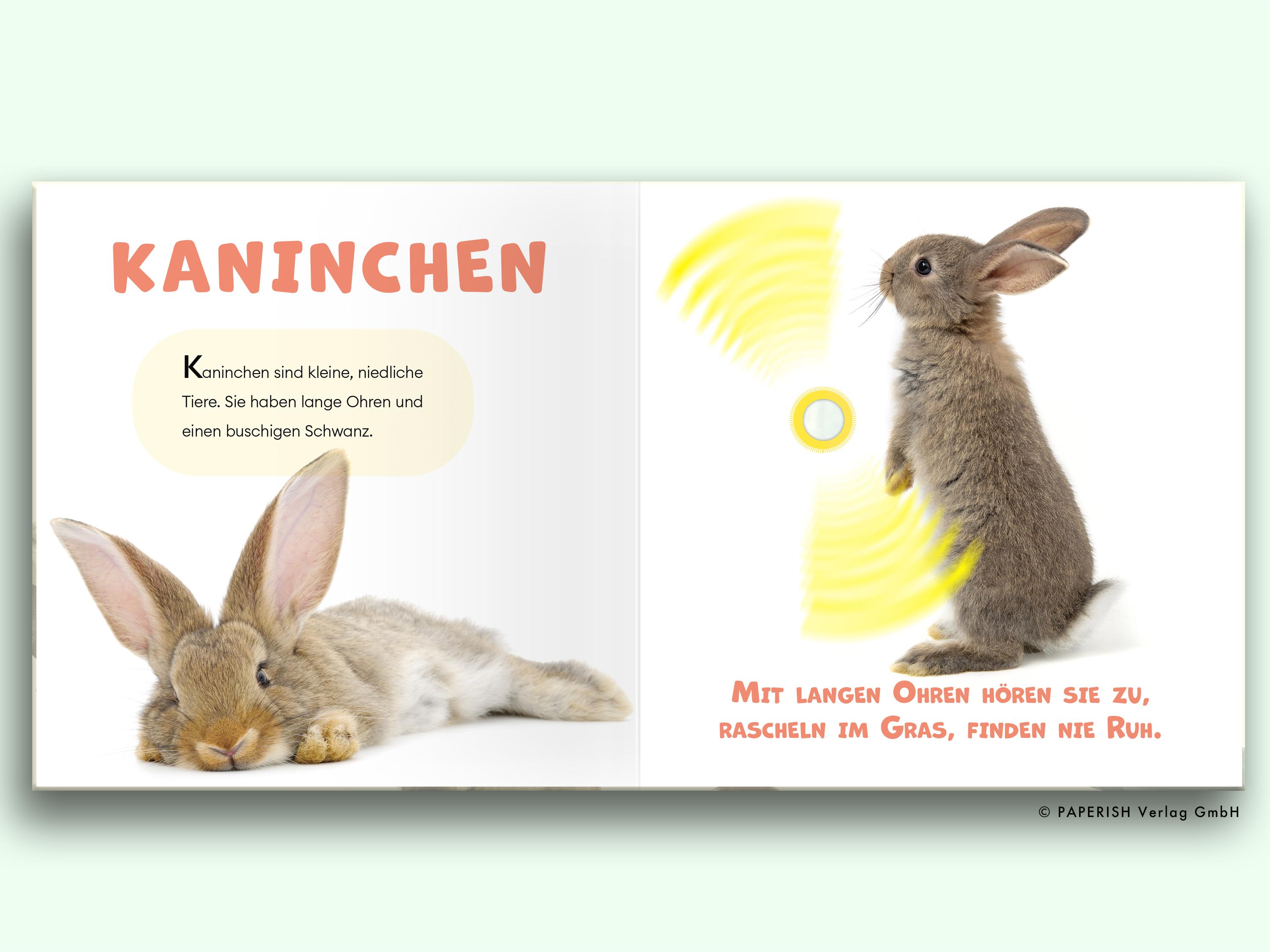 Beispielinhalt (Bild) Mach mal PIEPZ® - Haustiere