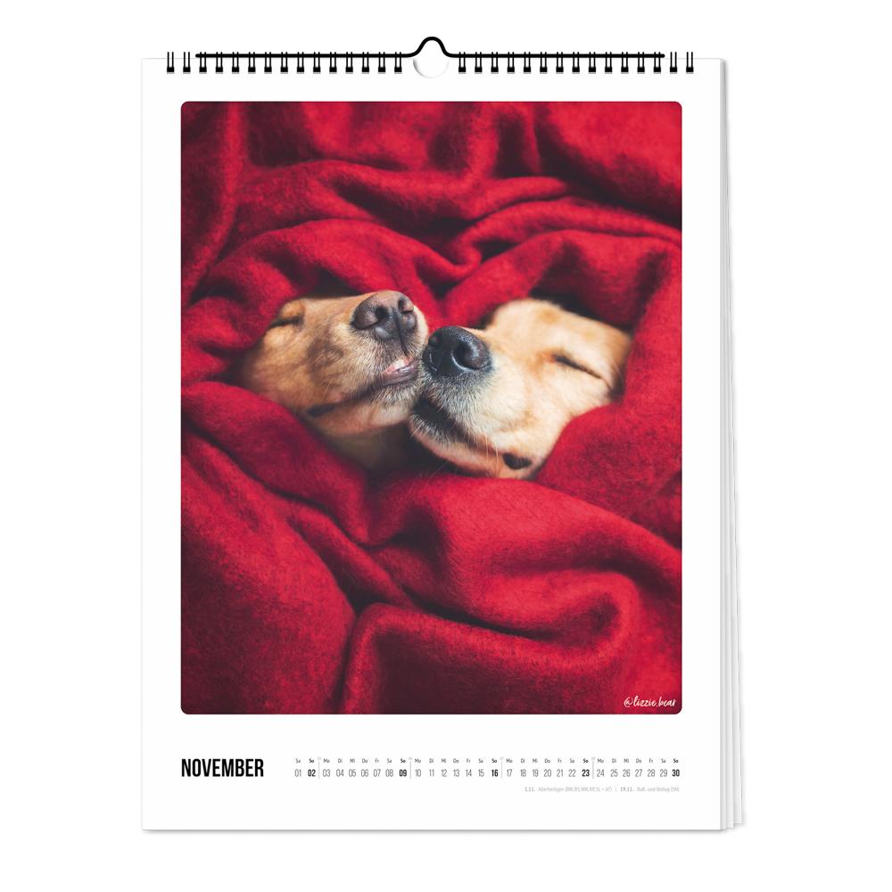 Beispielinhalt (Bild) Wandkalender 2025 - Bunter Hund
