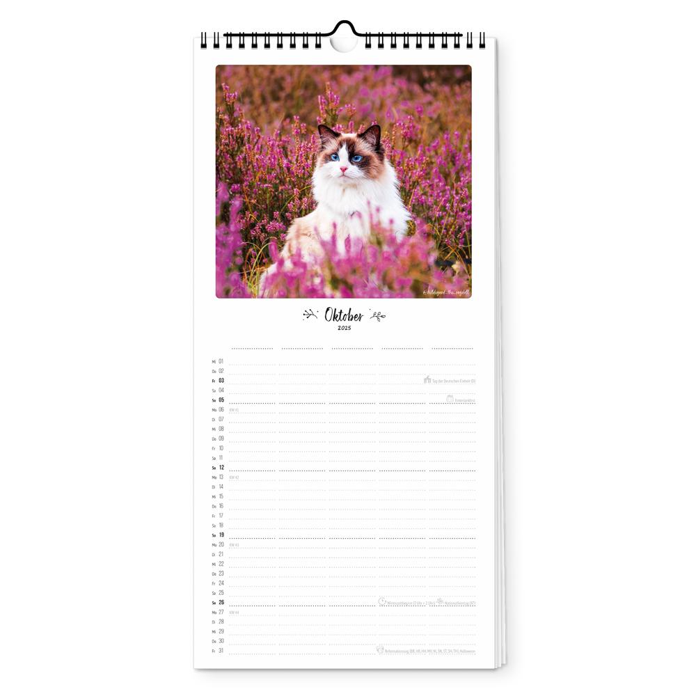 Beispielinhalt (Bild) Familienplaner 2025 - Katz & Kater
