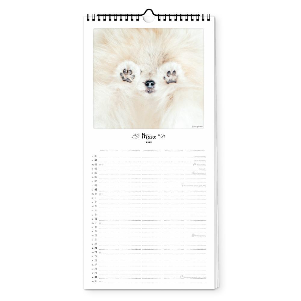 Beispielinhalt (Bild) Familienplaner 2025 - Bunter Hund