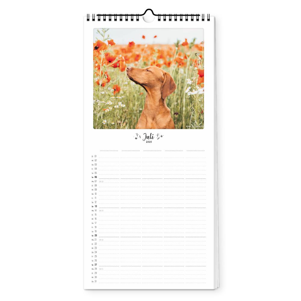 Beispielinhalt (Bild) Familienplaner 2025 - Bunter Hund