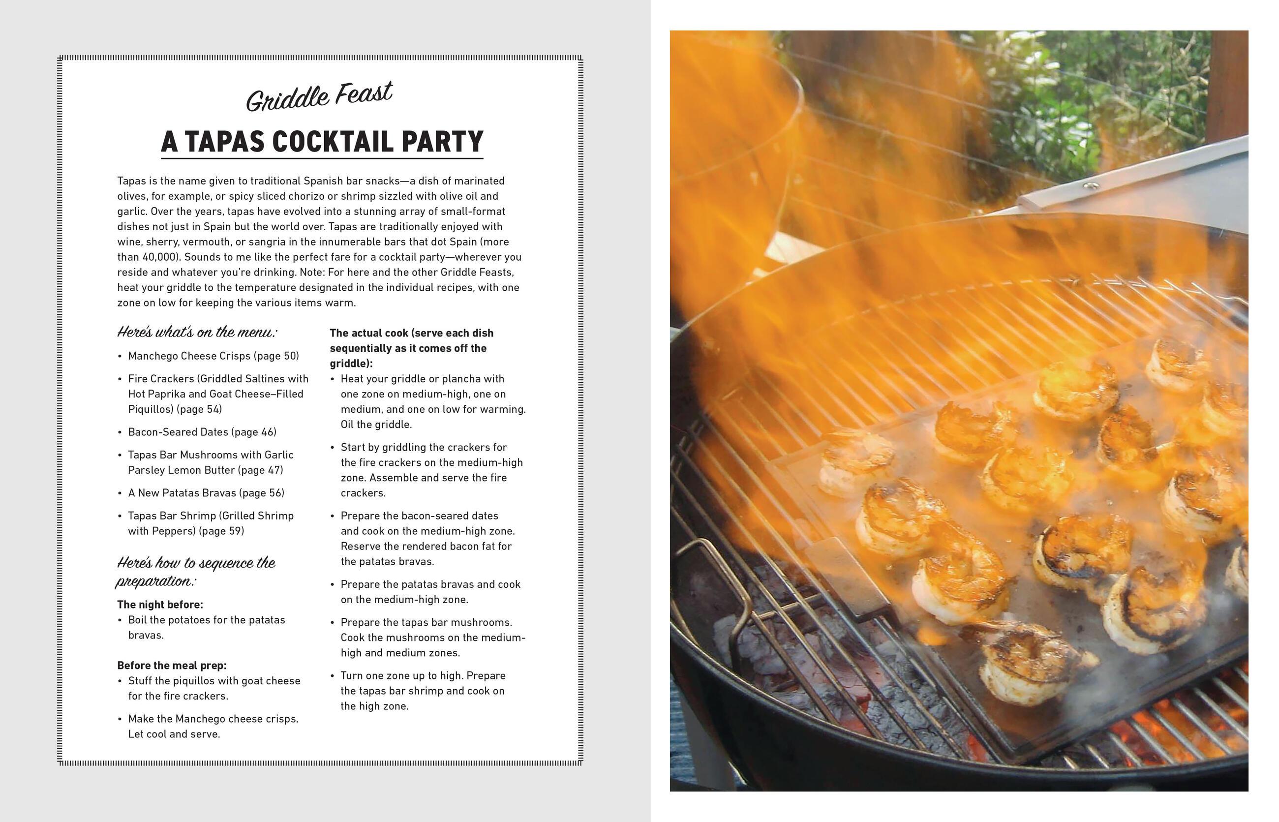 Beispielinhalt (Bild) Project Griddle