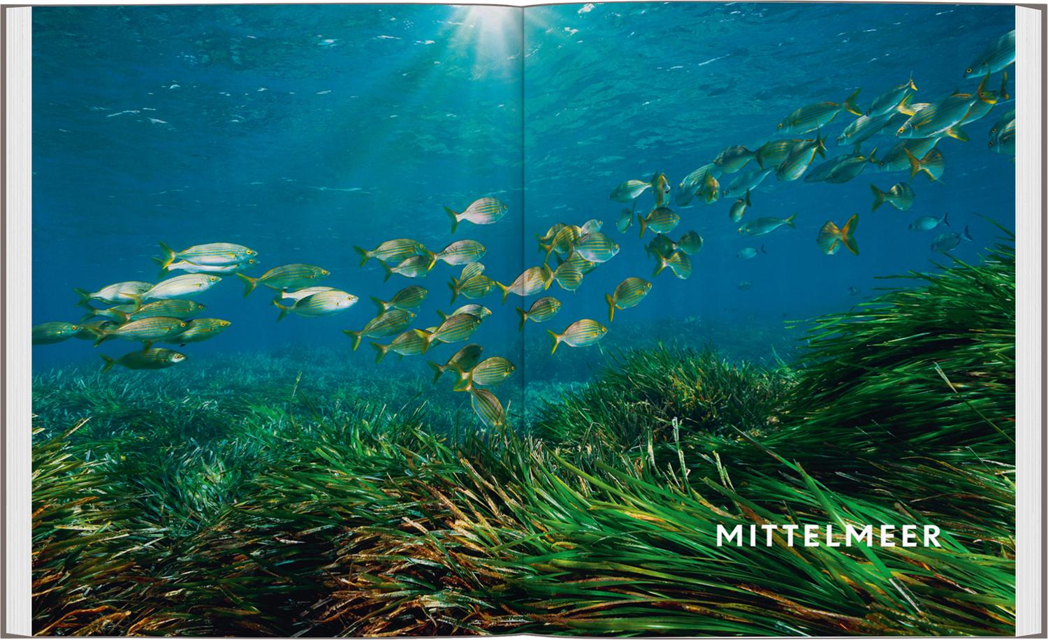 Beispielinhalt (Bild) LONELY PLANET Bildband Legendäre Tauchabenteuer