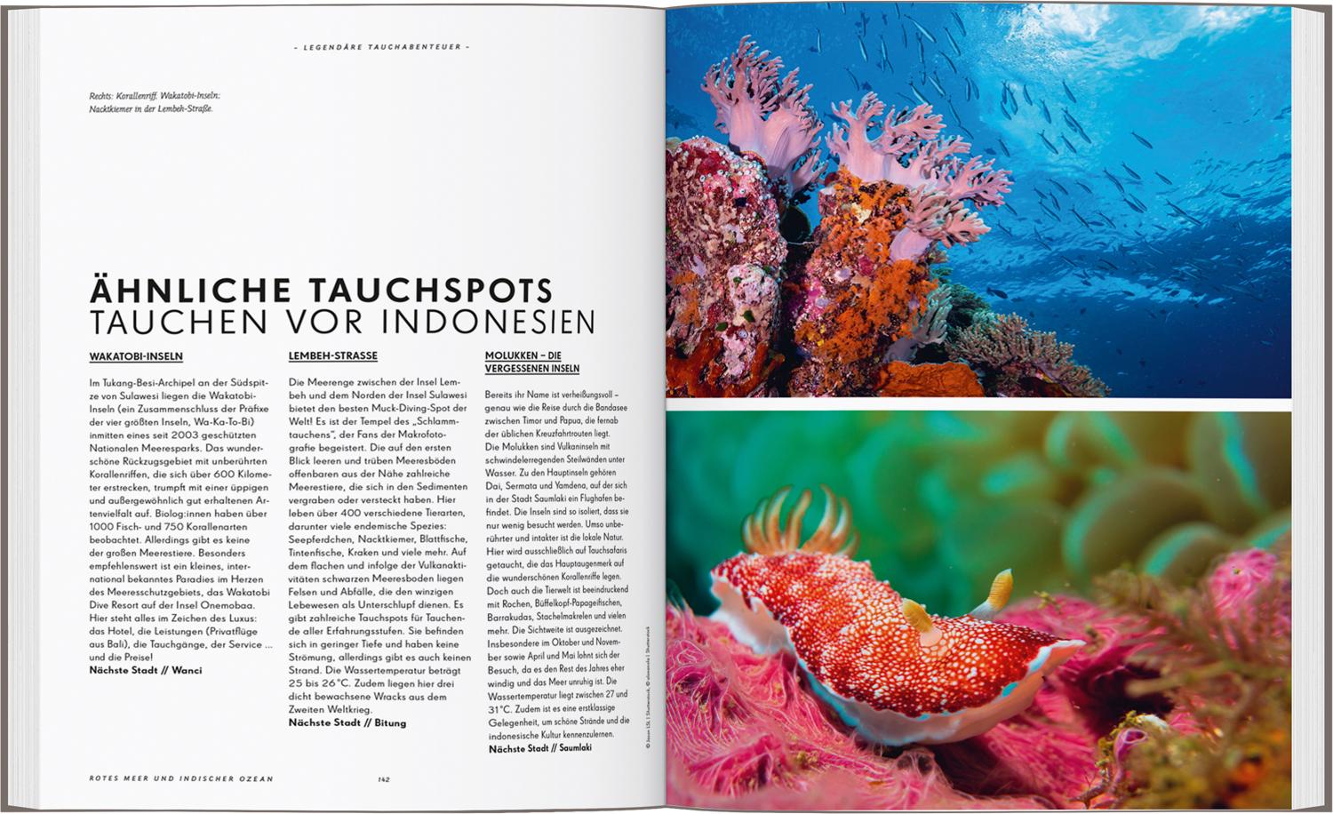 Beispielinhalt (Bild) LONELY PLANET Bildband Legendäre Tauchabenteuer