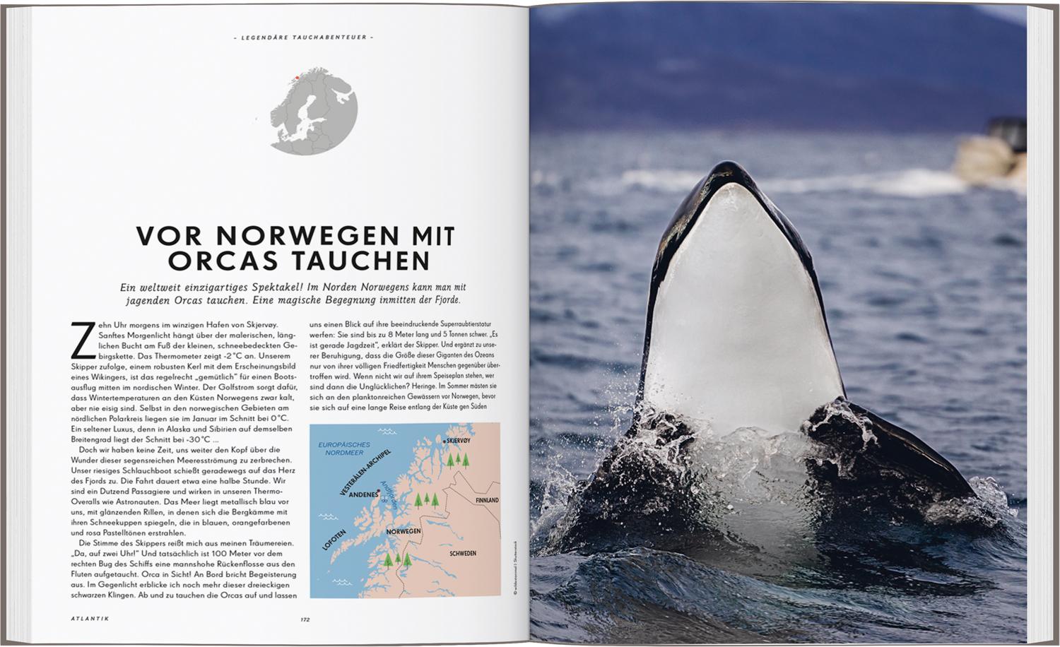 Beispielinhalt (Bild) LONELY PLANET Bildband Legendäre Tauchabenteuer