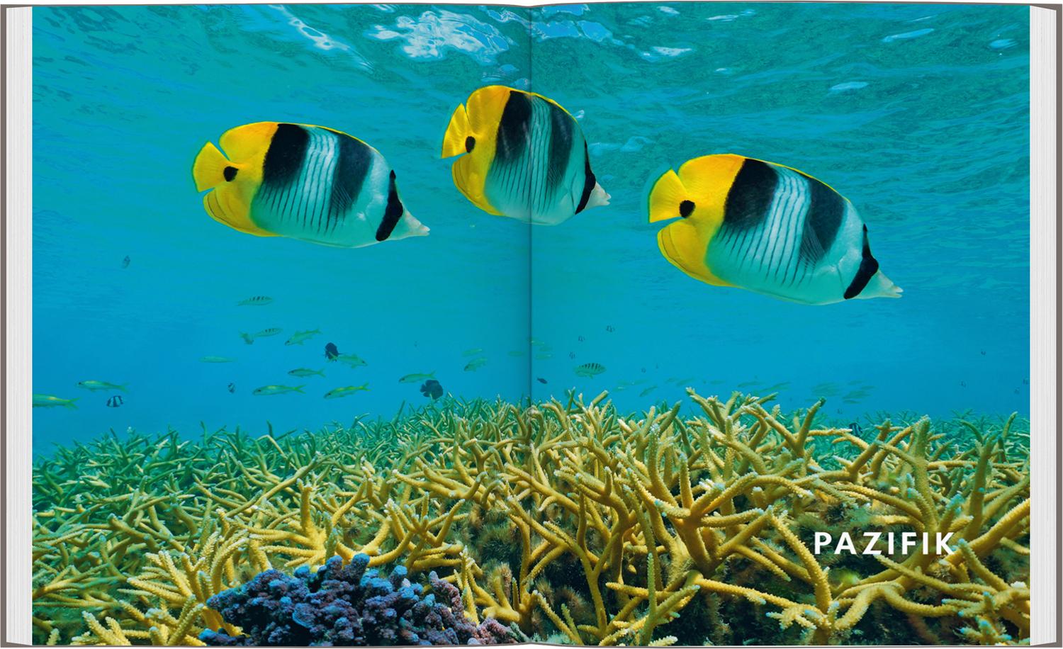 Beispielinhalt (Bild) LONELY PLANET Bildband Legendäre Tauchabenteuer