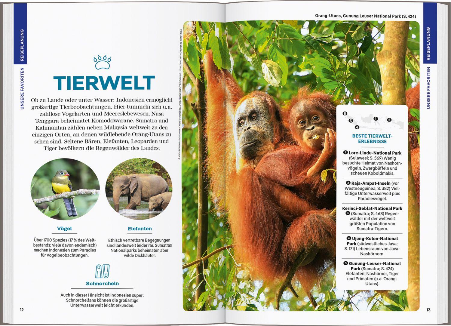 Beispielinhalt (Bild) LONELY PLANET Reiseführer Indonesien