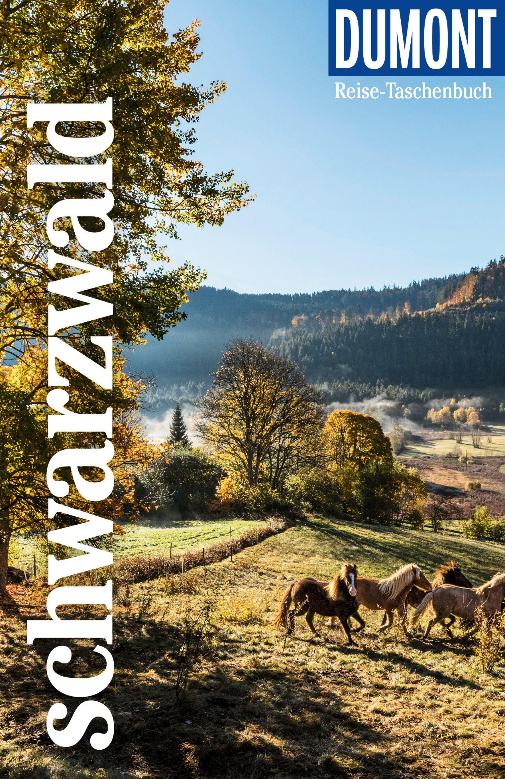 Vorderes Coverbild DUMONT Reise-Taschenbuch Reiseführer Schwarzwald