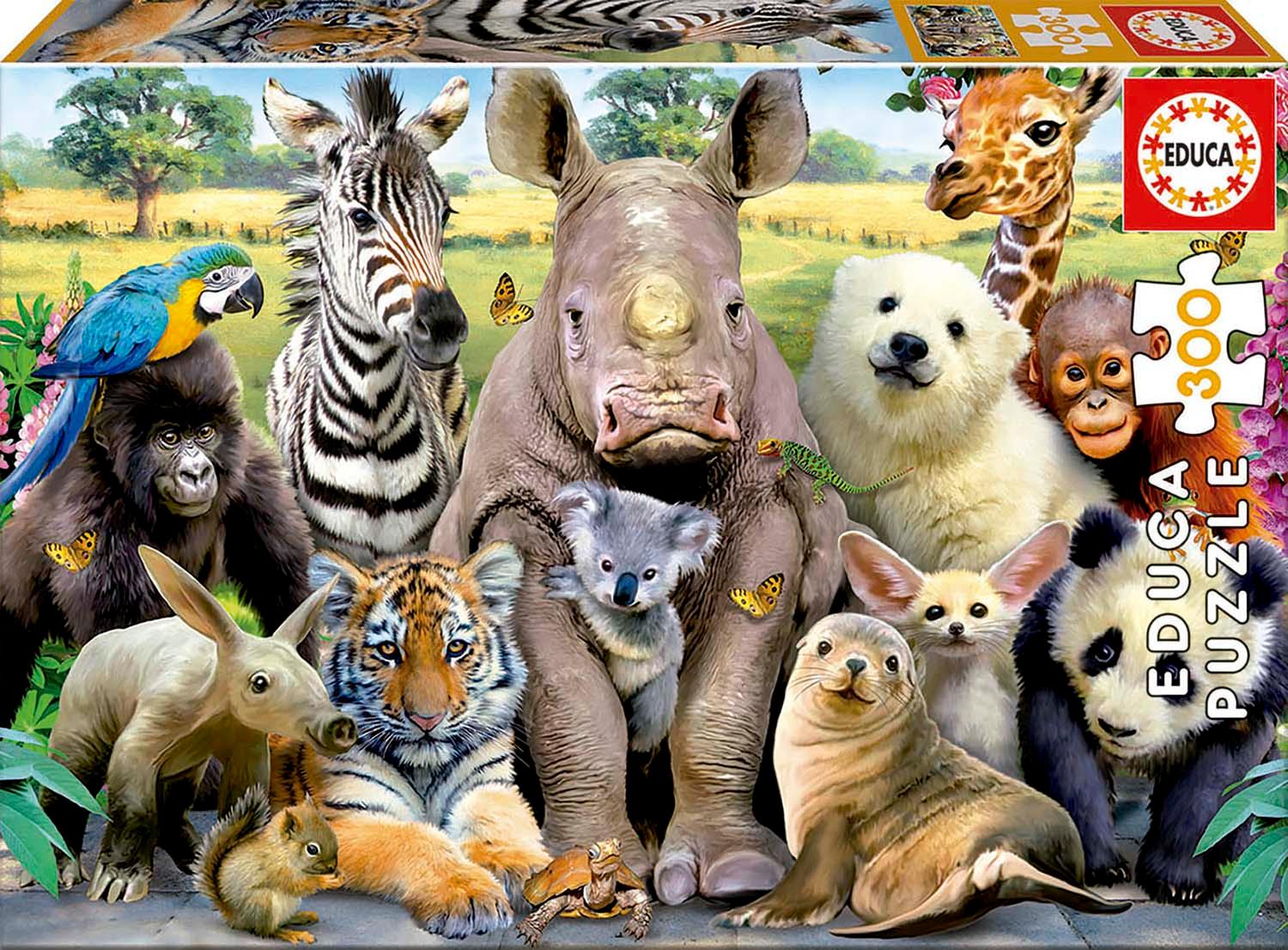 Vorderes Coverbild Educa - Lustige Zootiere - Puzzle 300 Teile