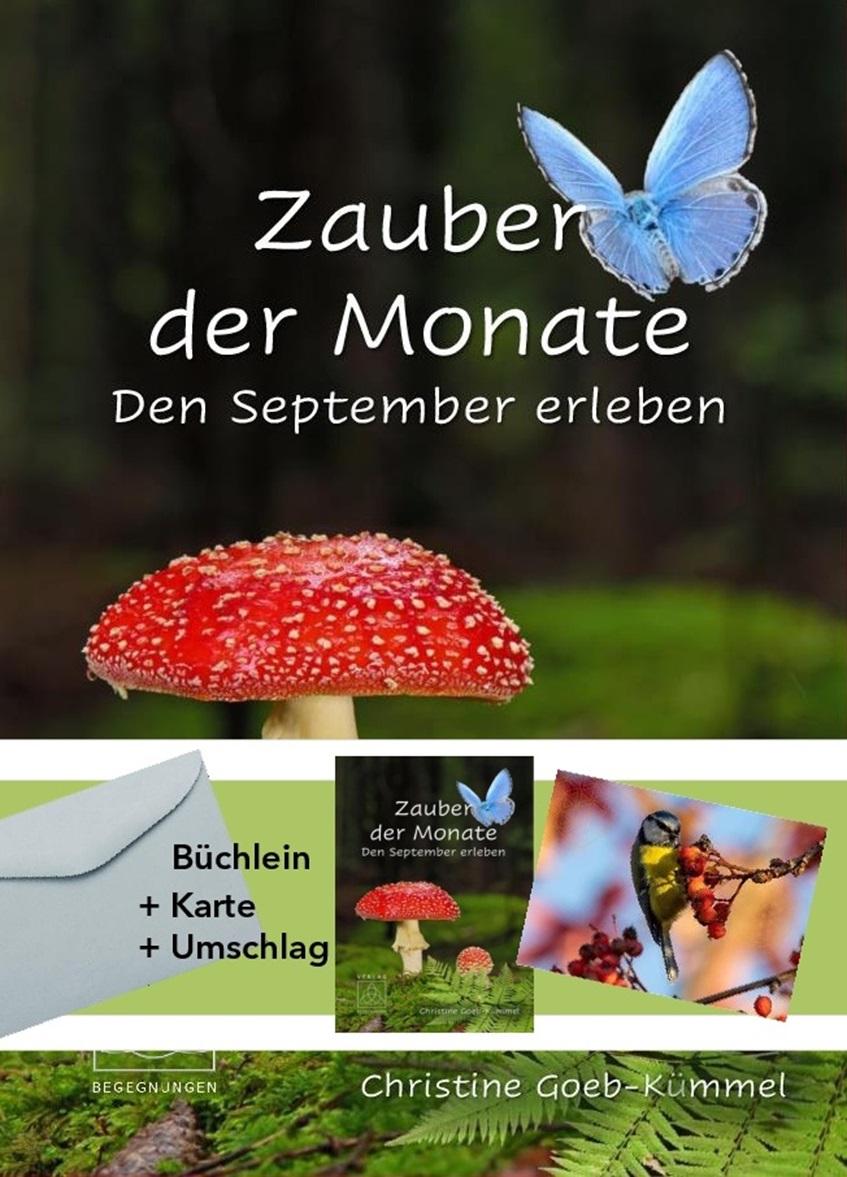 Vorderes Coverbild Zauber der Monate