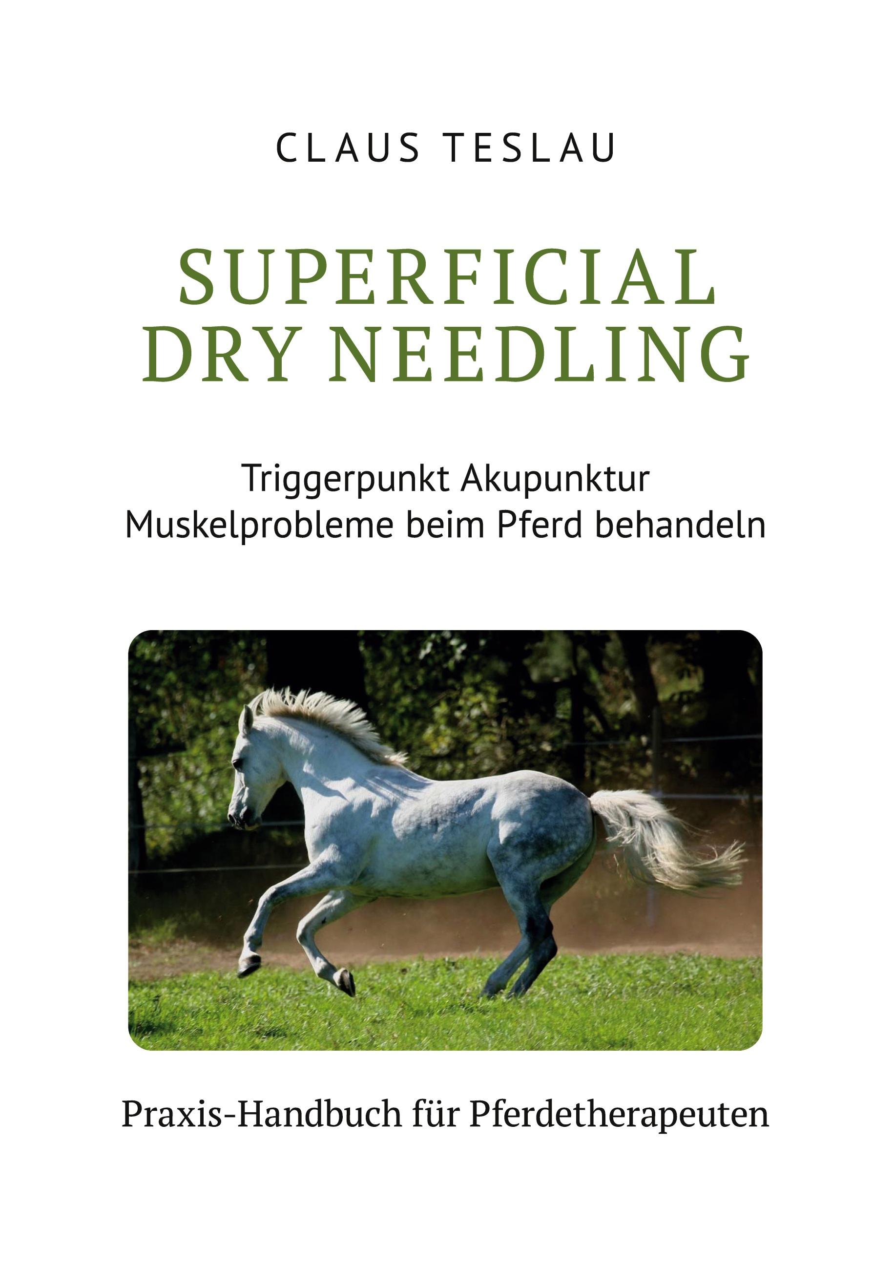 Vorderes Coverbild Superficial Dry Needling