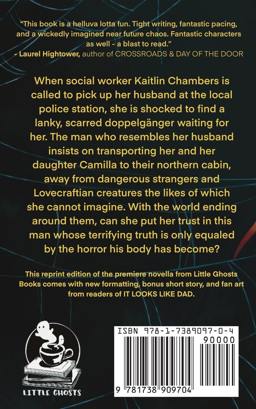 Rückseitencover It Looks Like Dad