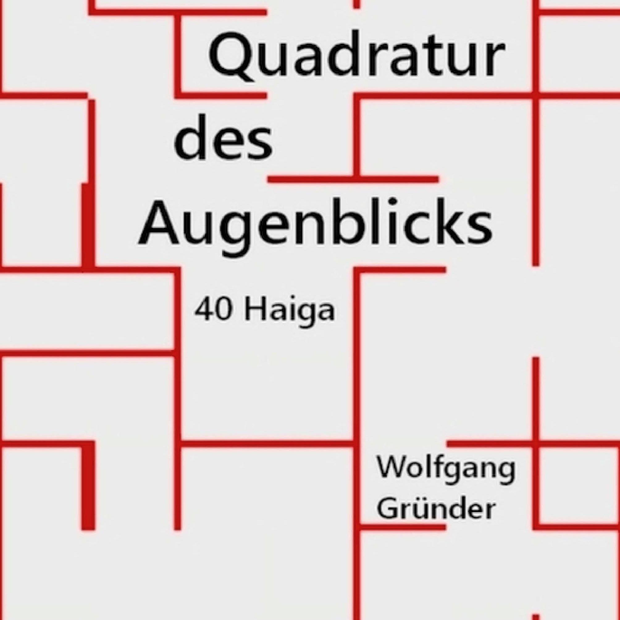 Vorderes Coverbild Quadratur des Augenblicks