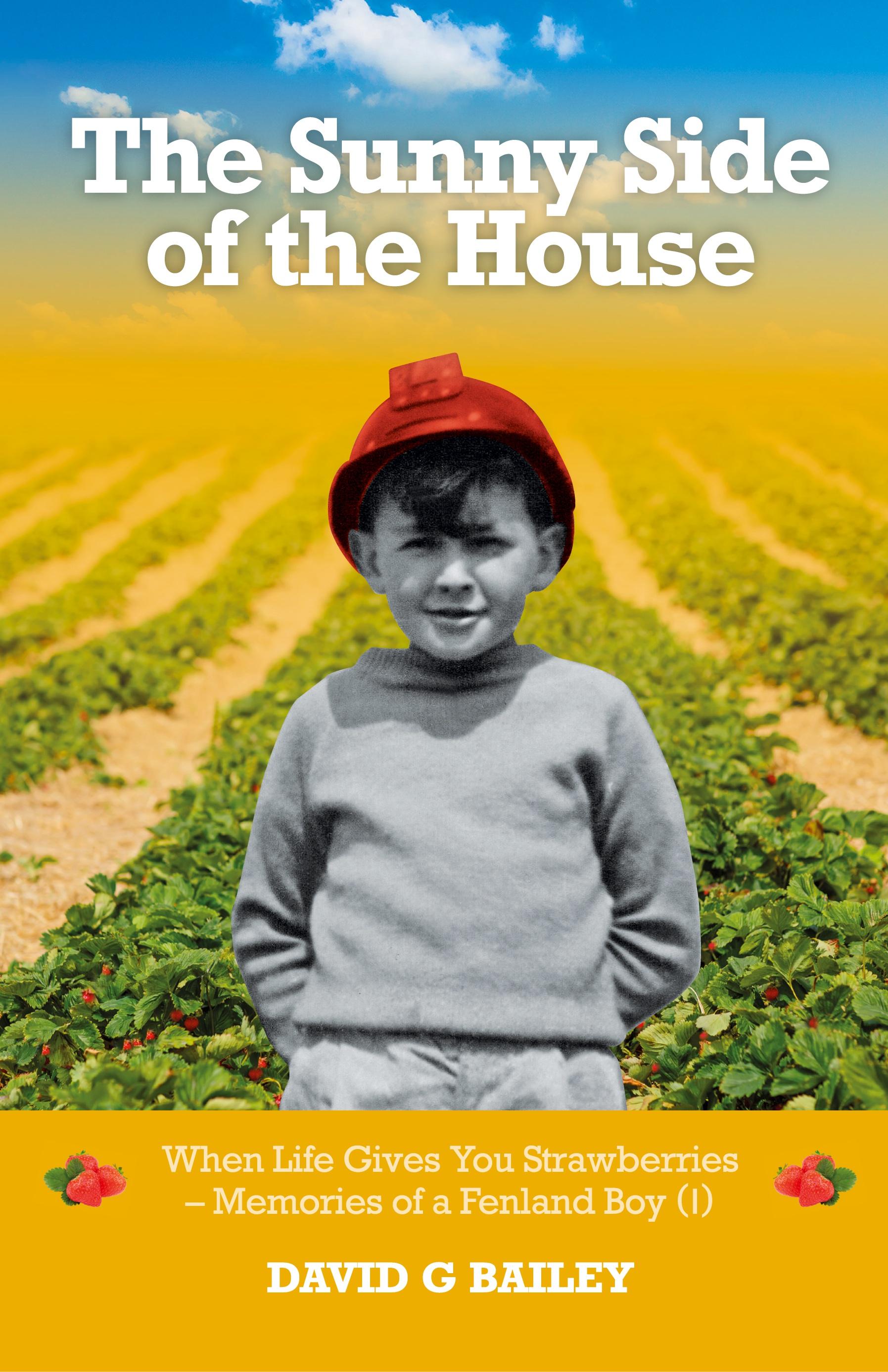 Vorderes Coverbild The Sunny Side of the House