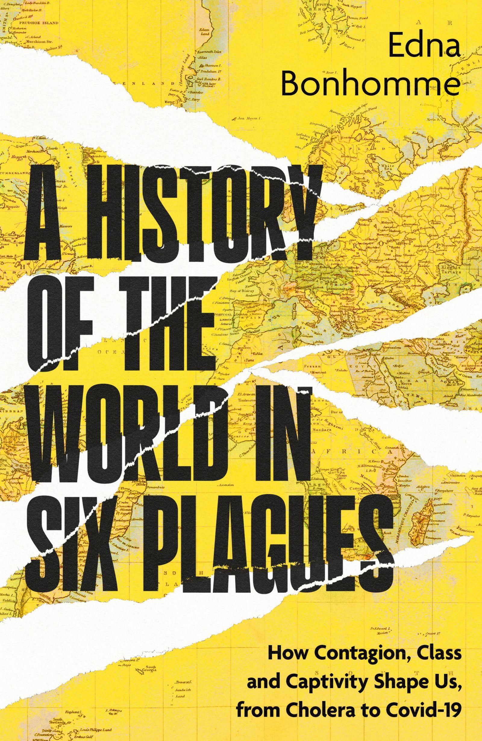 Vorderes Coverbild A History of the World in Six Plagues