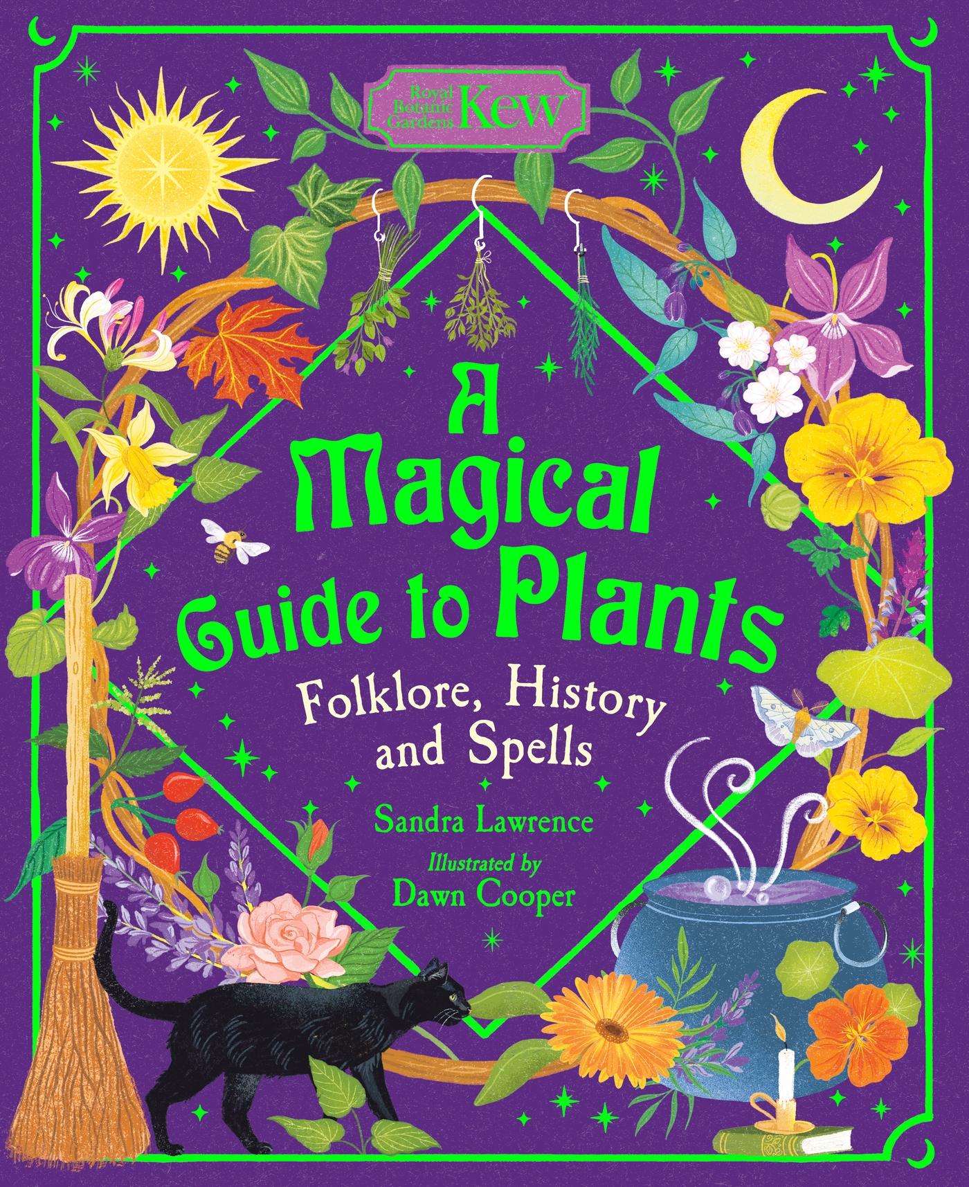 Vorderes Coverbild A Magical Guide to Plants