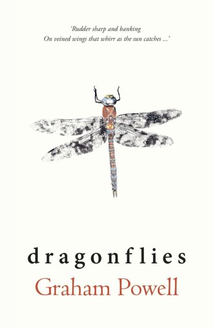 Vorderes Coverbild Dragonflies