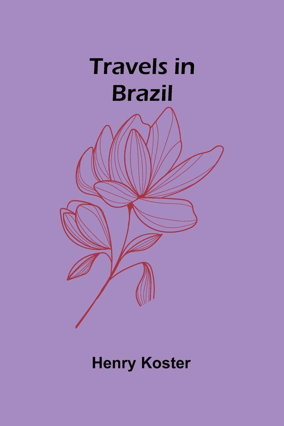 Vorderes Coverbild Travels in Brazil
