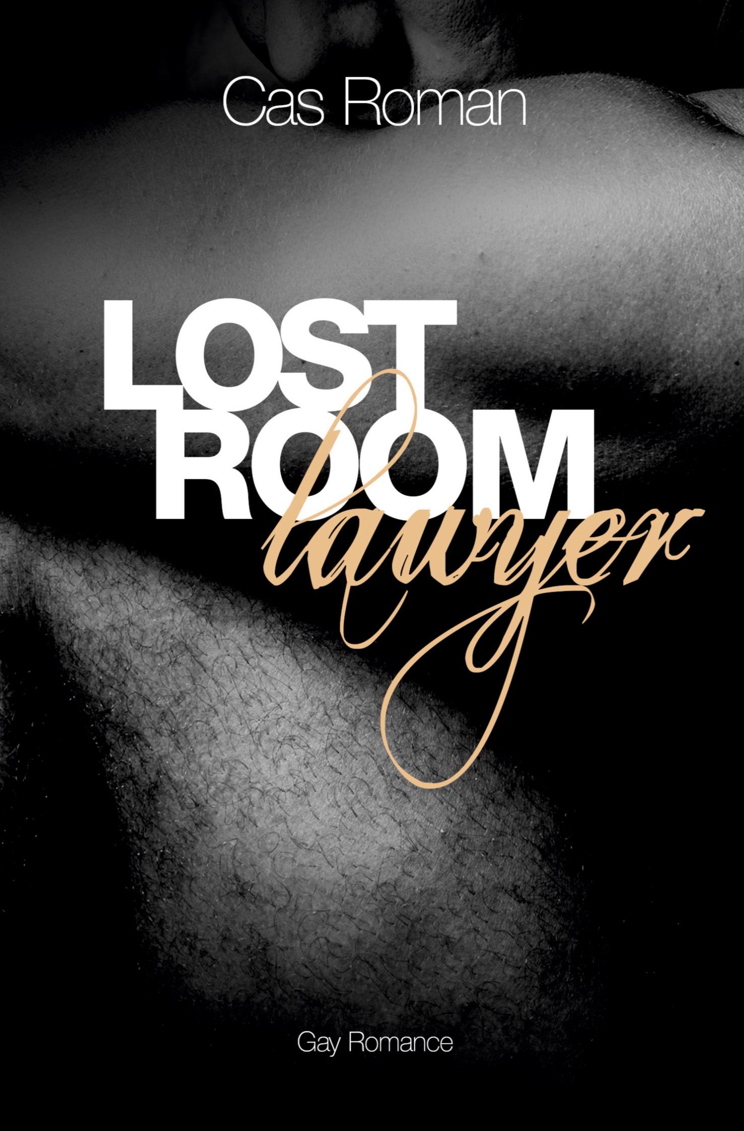 Vorderes Coverbild Lost Room Lawyer
