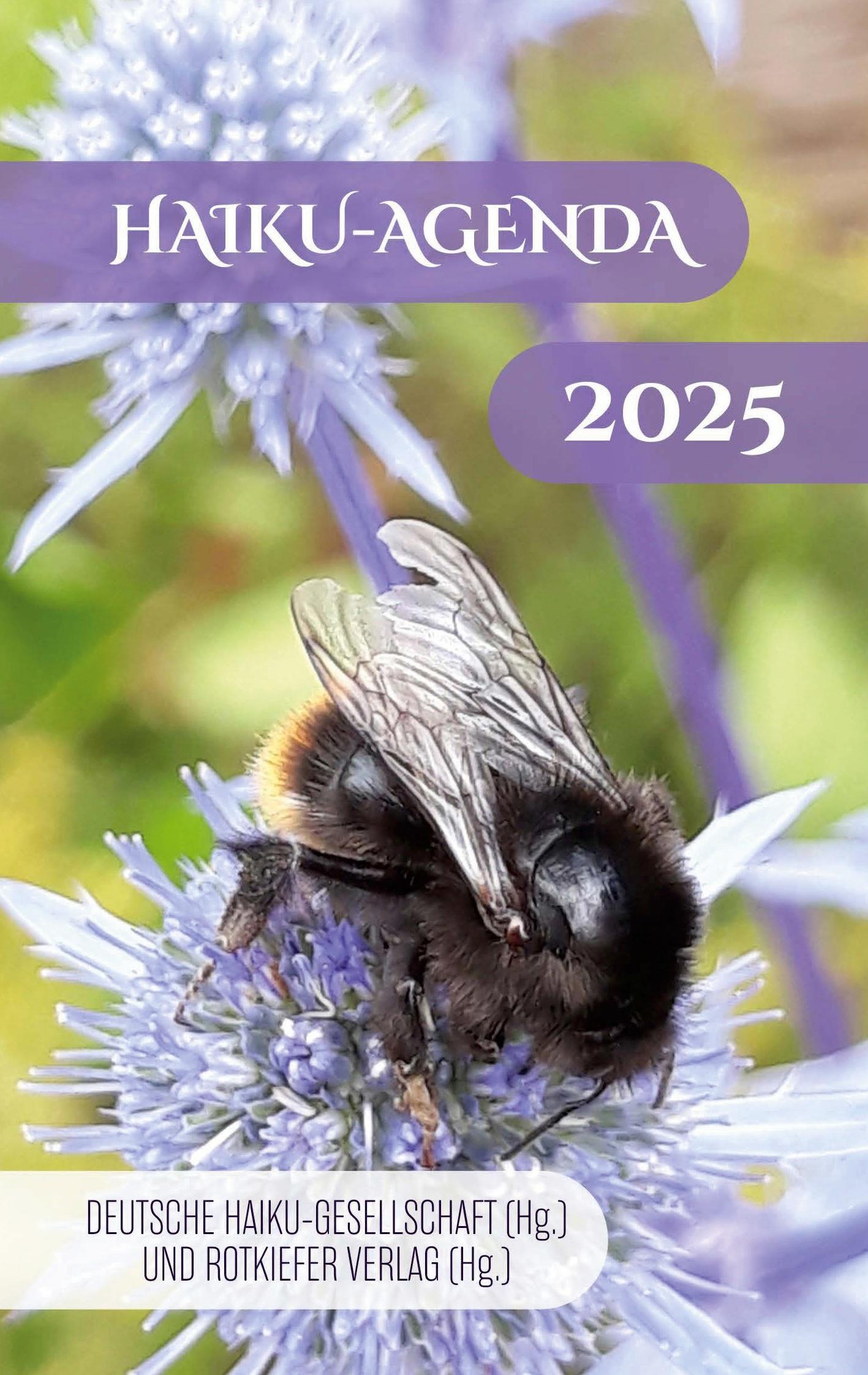 Vorderes Coverbild Agenda 2025