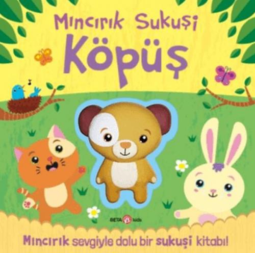 Vorderes Coverbild Mincirik Sukusi Köpüs