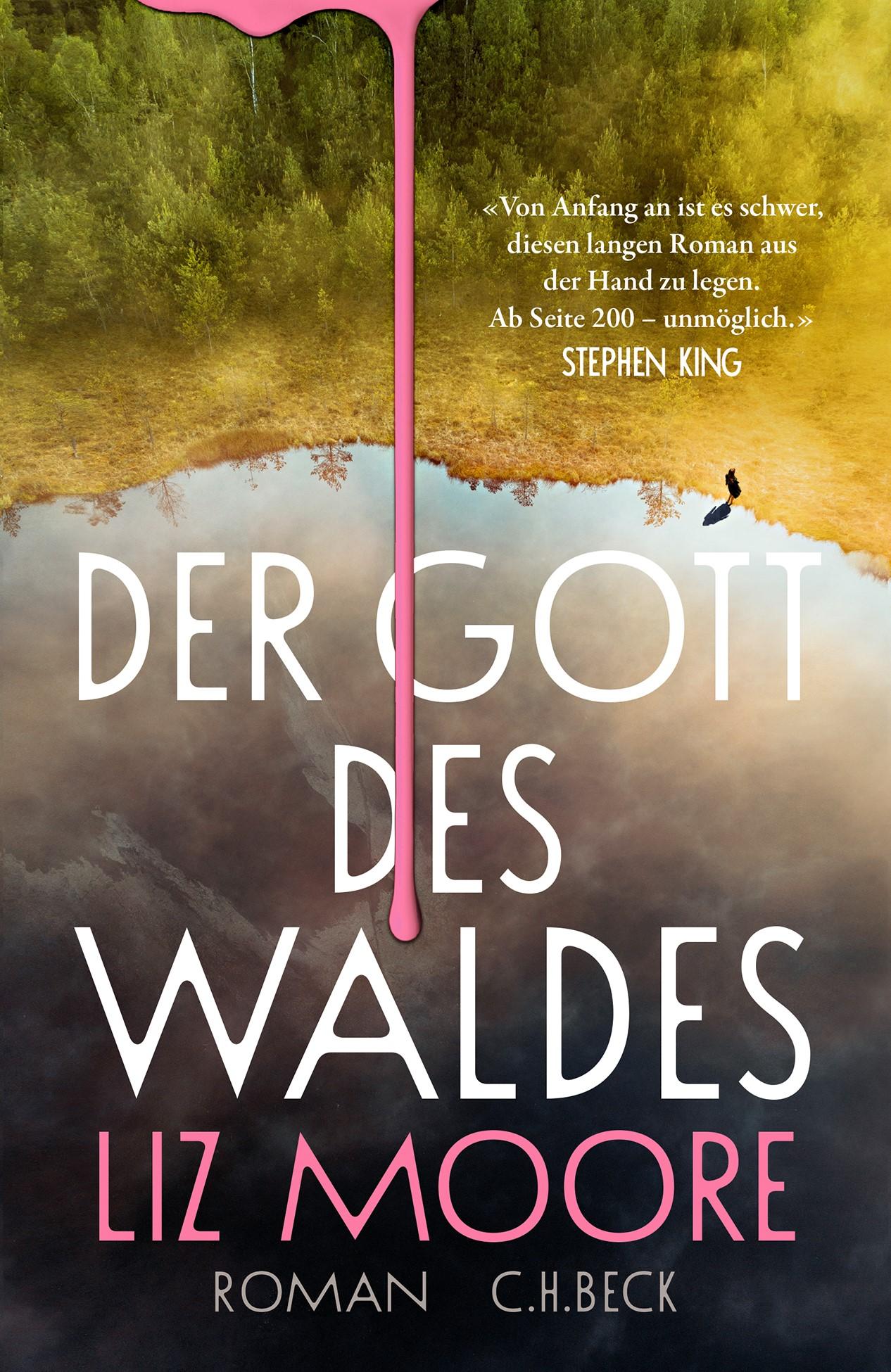Vorderes Coverbild Der Gott des Waldes
