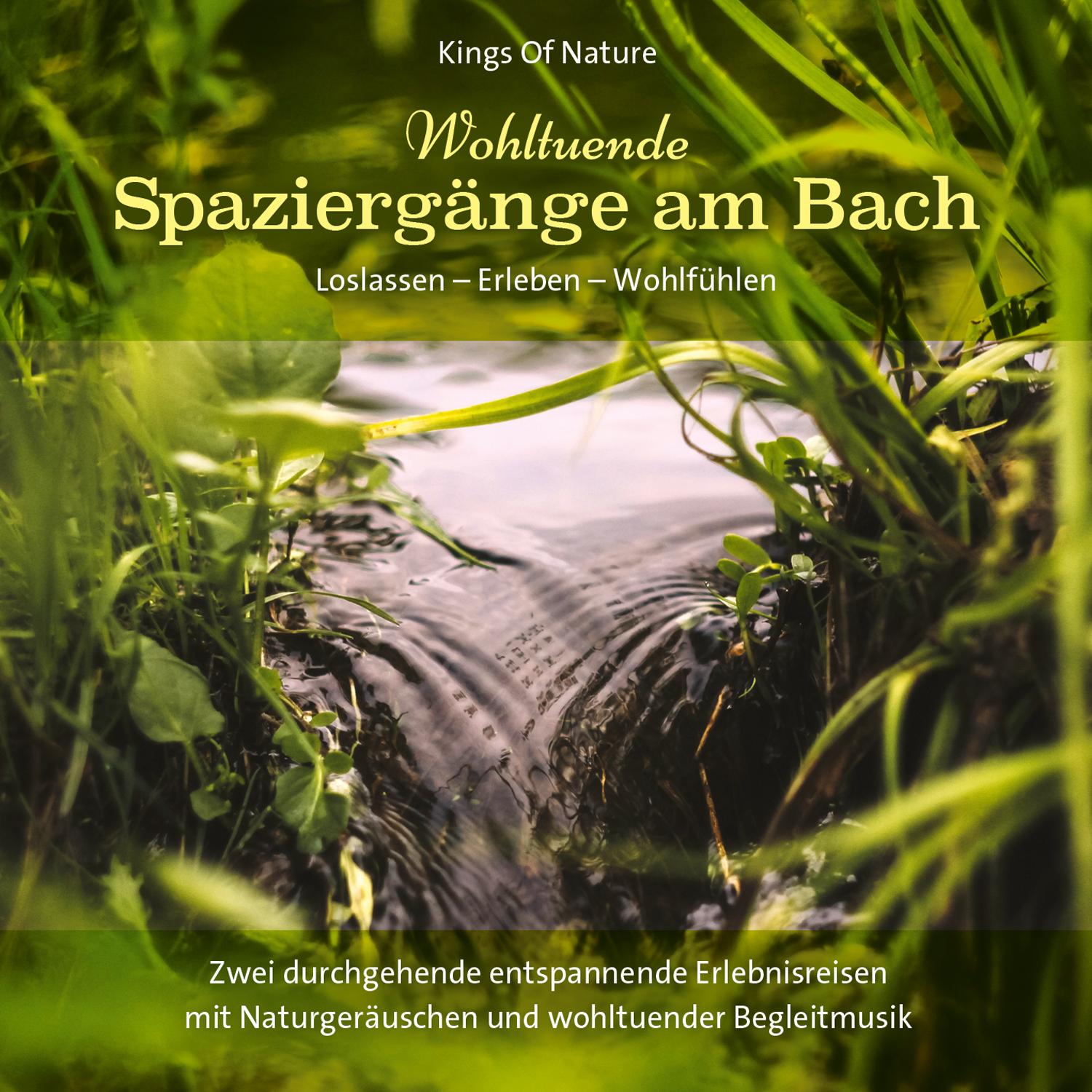 Vorderes Coverbild Wohltuende Spaziergänge am Bach