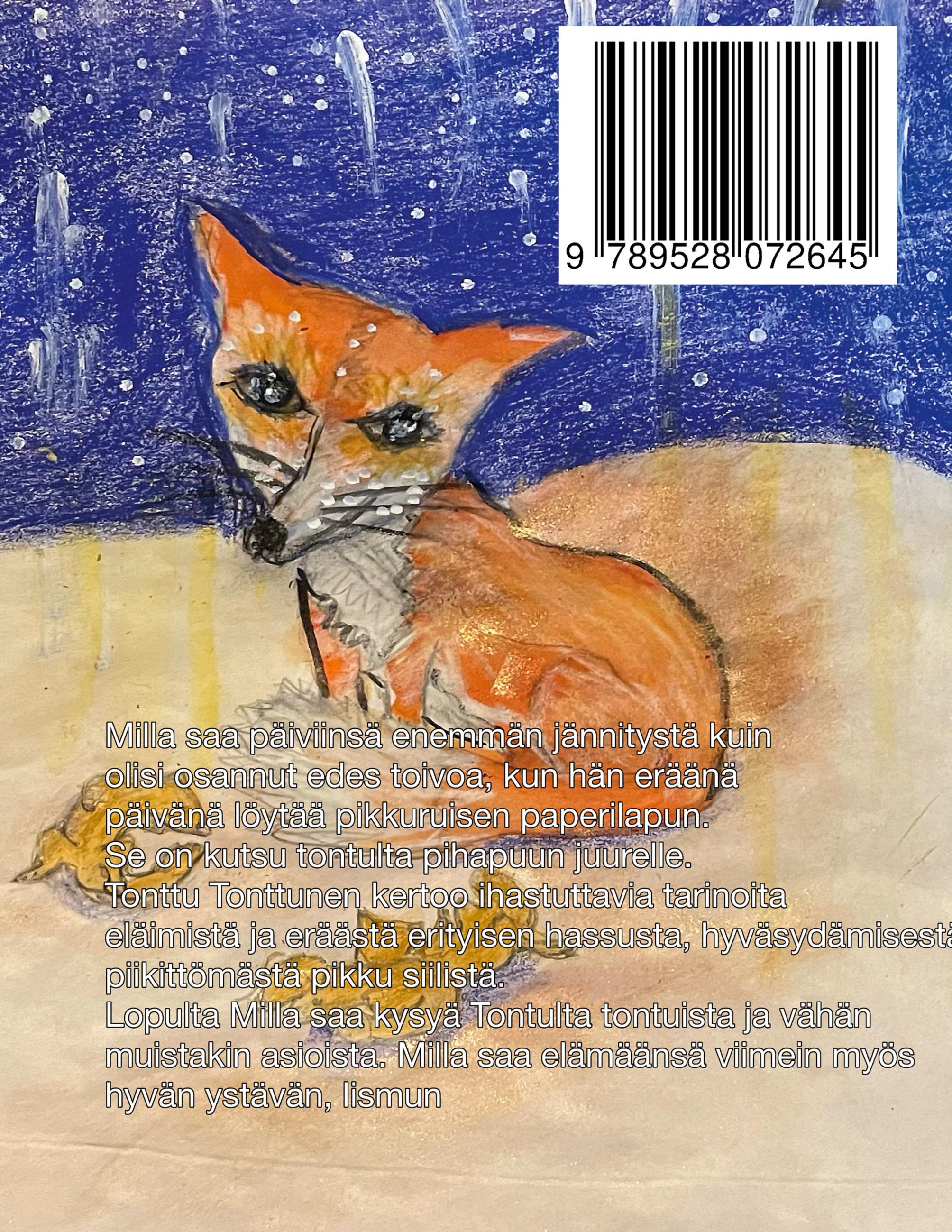 Rückseitencover Milla ja ihmeellinen tonttu