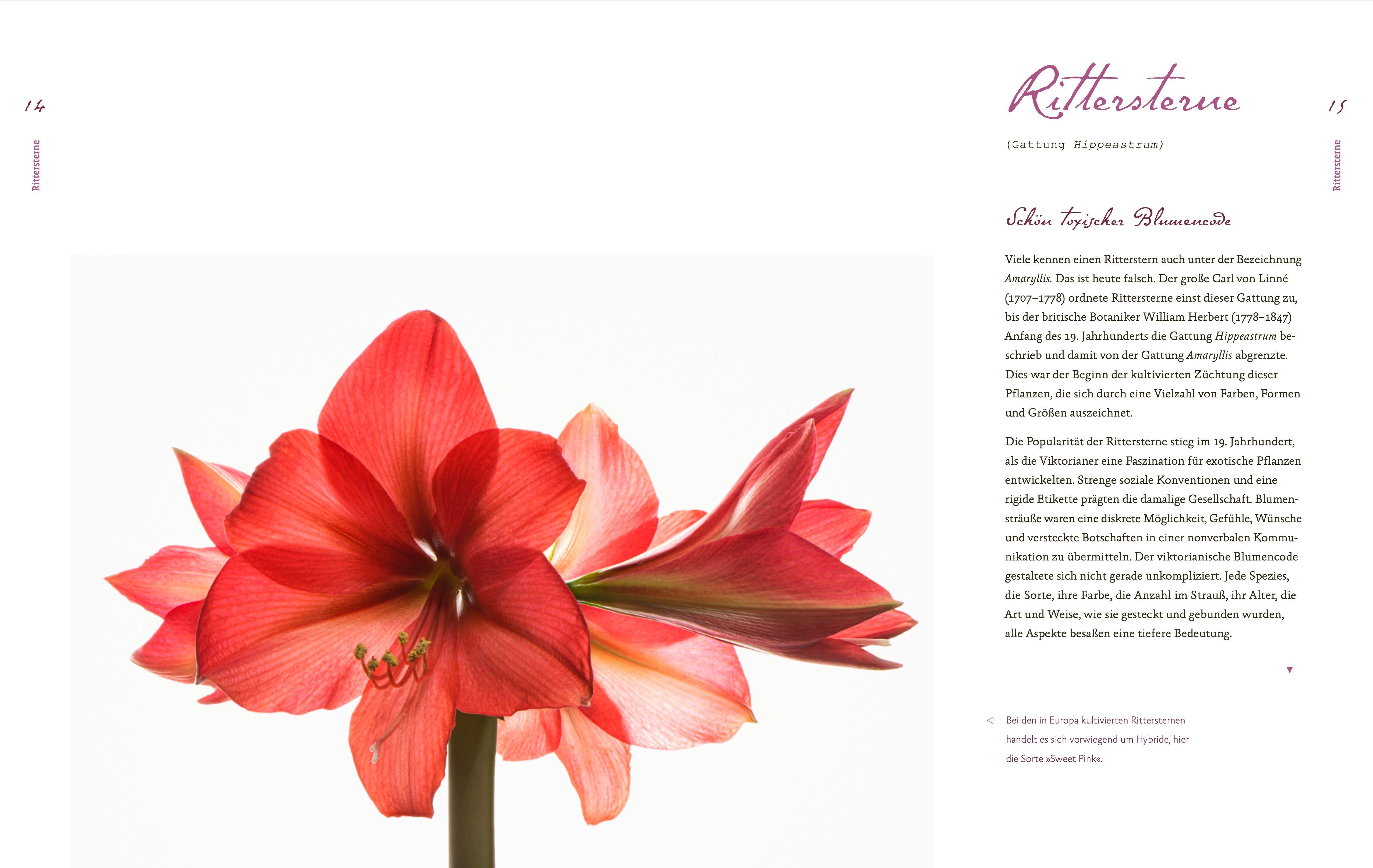 Beispielinhalt (Bild) Fiese Gewächse und solche mit krimineller Vergangenheit