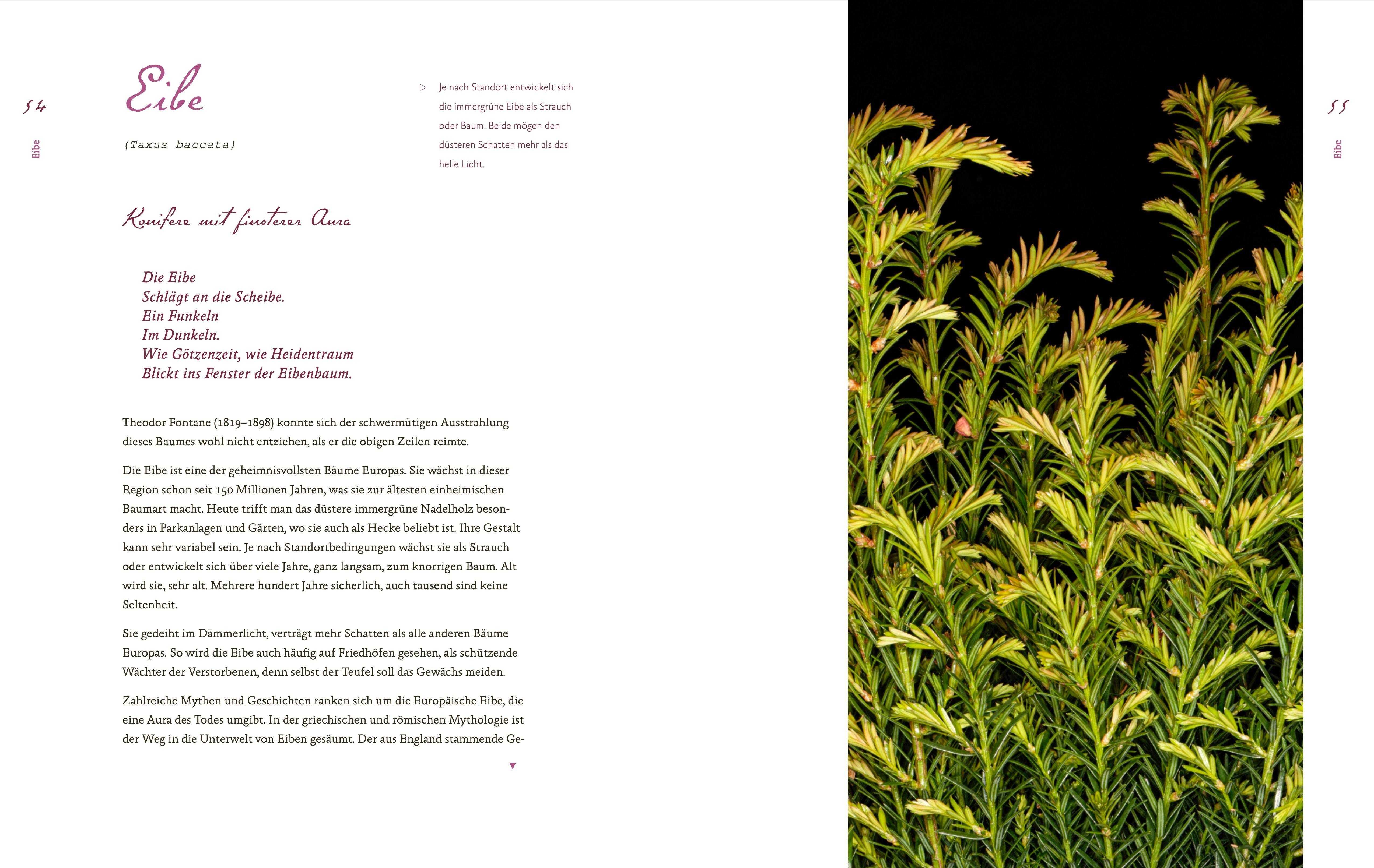 Beispielinhalt (Bild) Fiese Gewächse und solche mit krimineller Vergangenheit