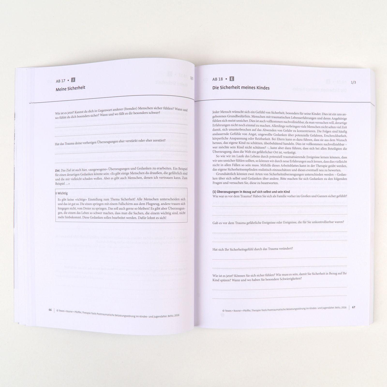 Beispielinhalt (Bild) Therapie-Tools Posttraumatische Belastungsstörung im Kindes- und Jugendalter