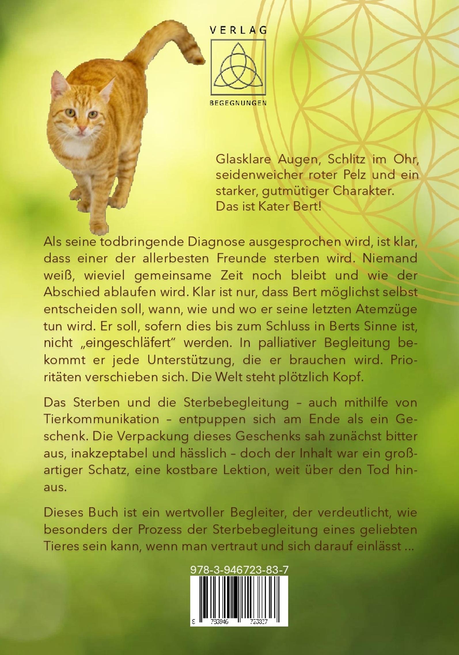 Rückseitencover Sieben Wochen Abschied von Bert