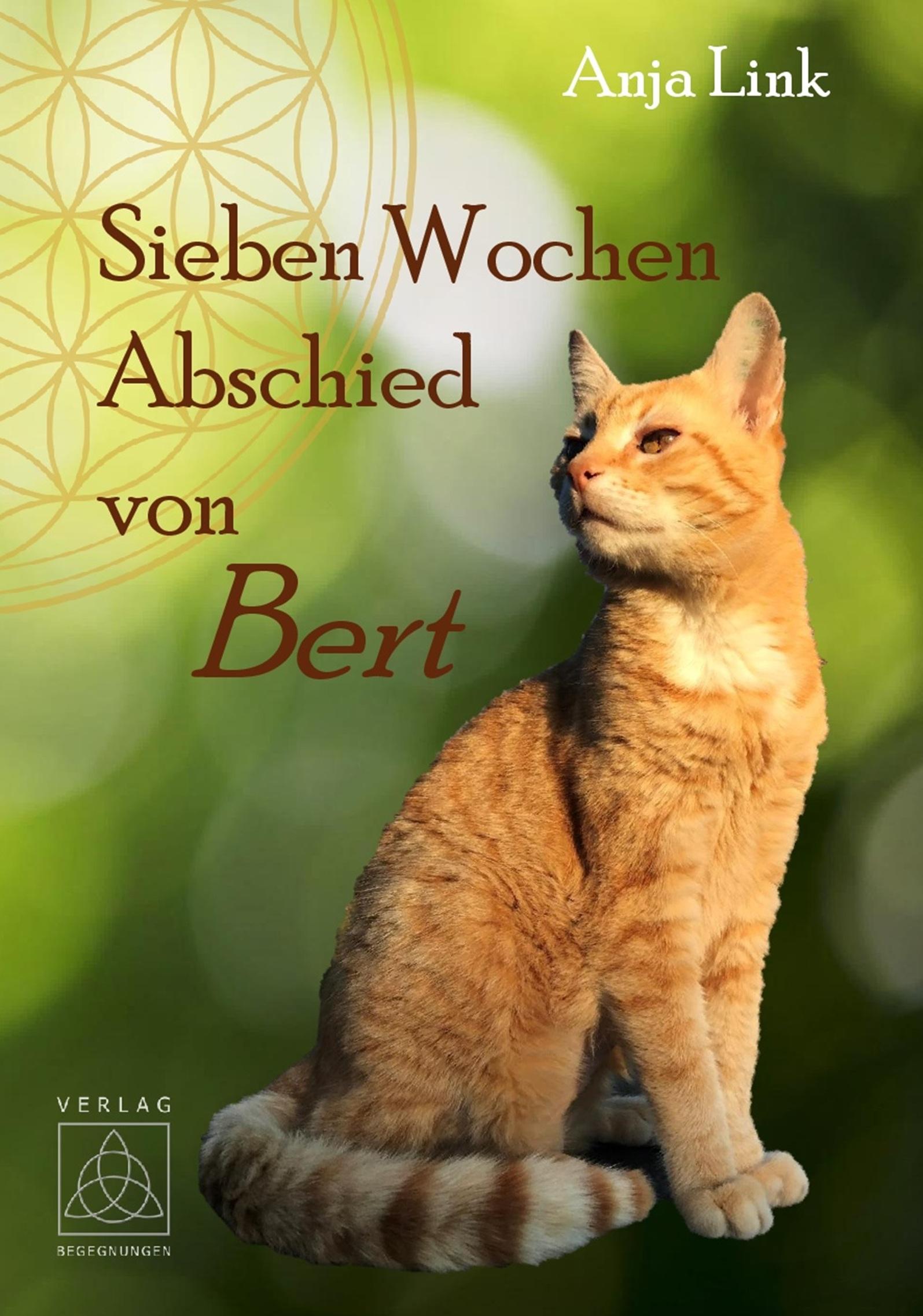 Vorderes Coverbild Sieben Wochen Abschied von Bert
