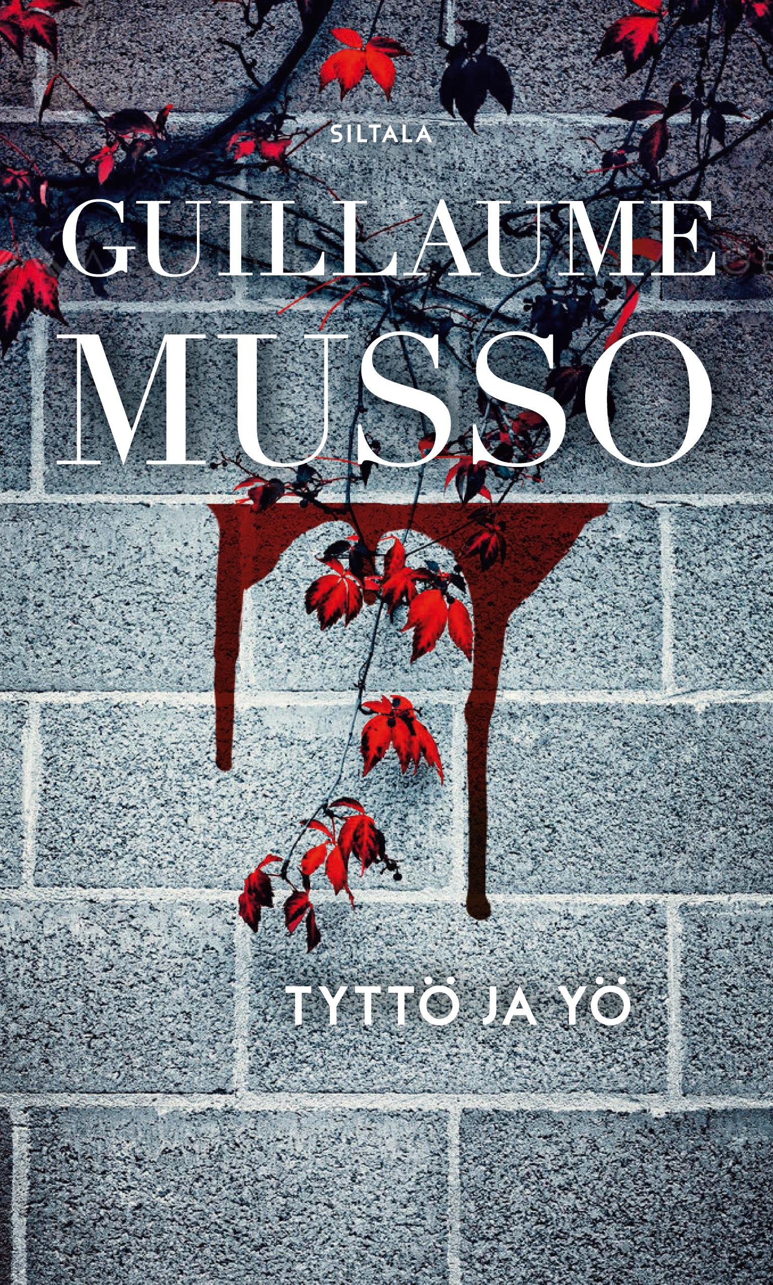 Vorderes Coverbild Tyttö ja yö