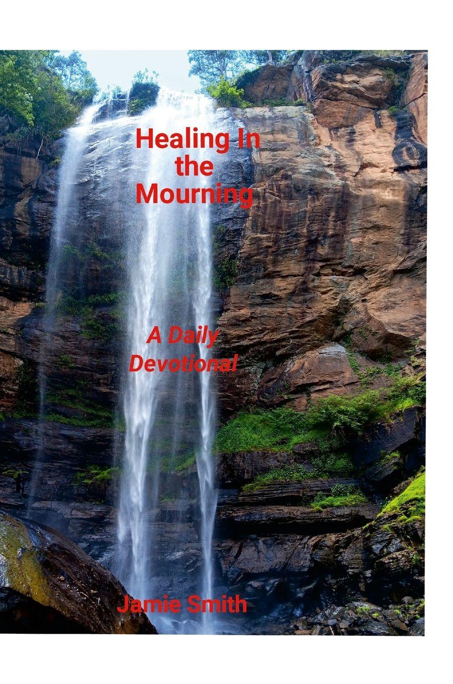 Vorderes Coverbild Healing In The Mourning