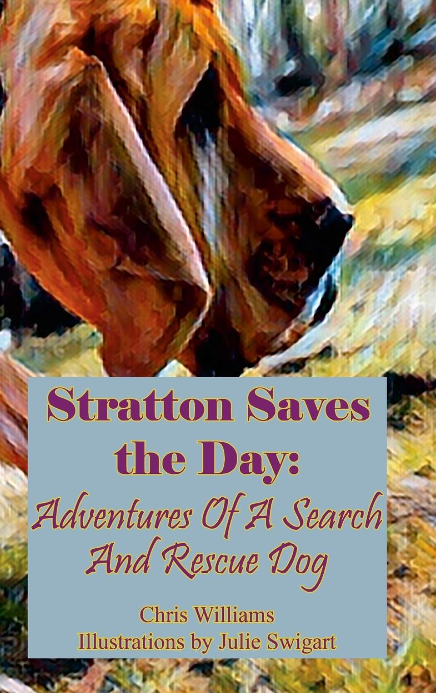 Vorderes Coverbild Stratton Saves The Day