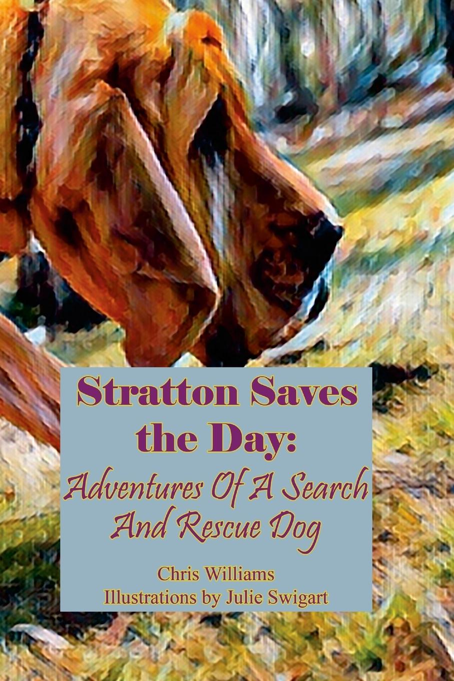 Vorderes Coverbild Stratton Saves the Day