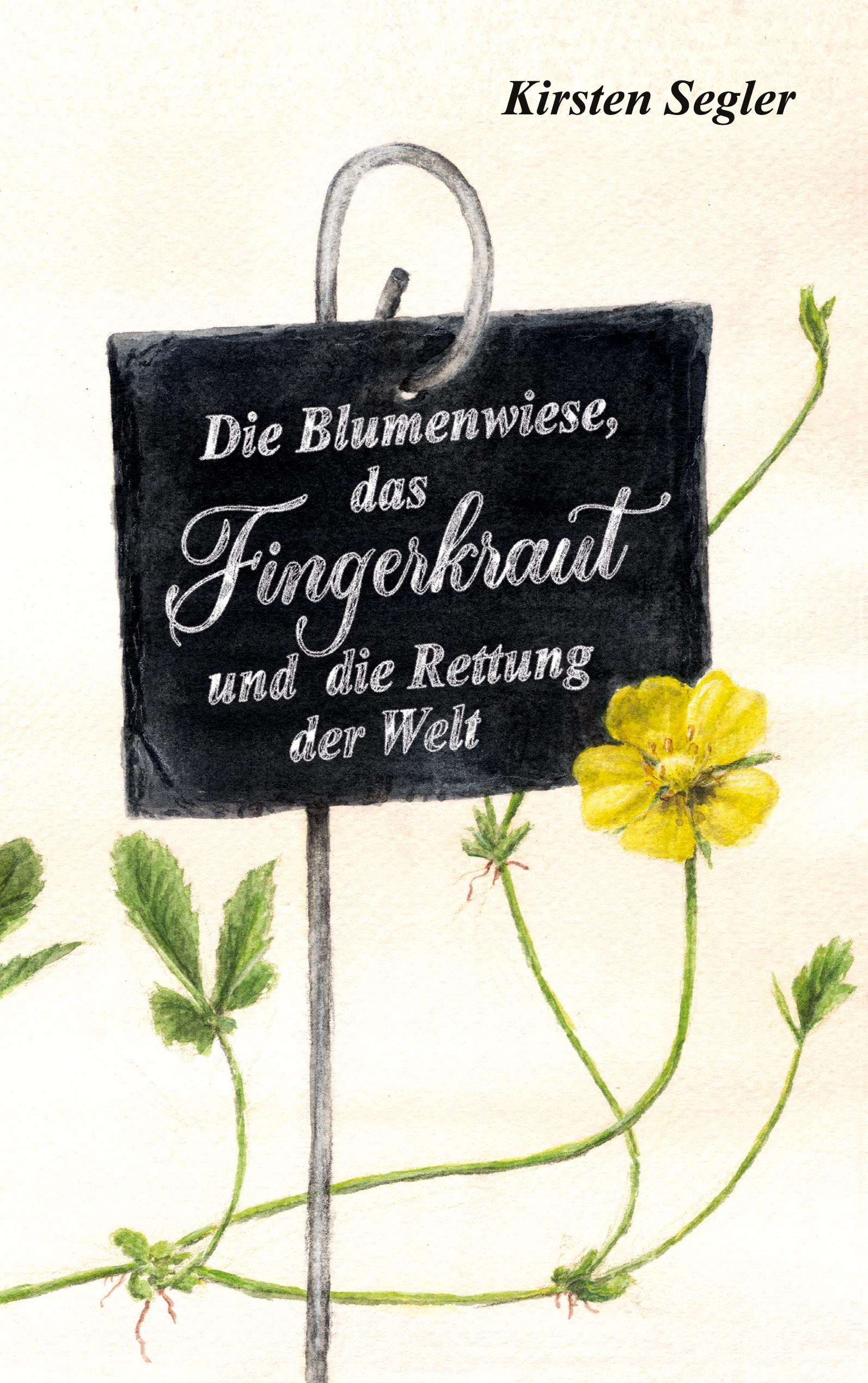 Vorderes Coverbild Die Blumenwiese, das Fingerkraut und die Rettung der Welt